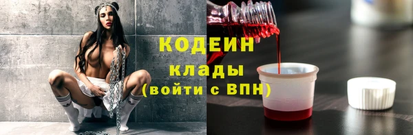 гашик Снежногорск