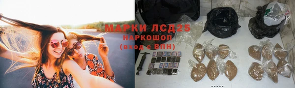 сатива Снежинск