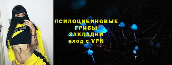шишки Алзамай
