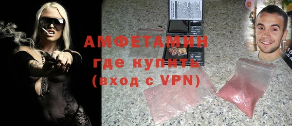 шишки Алзамай